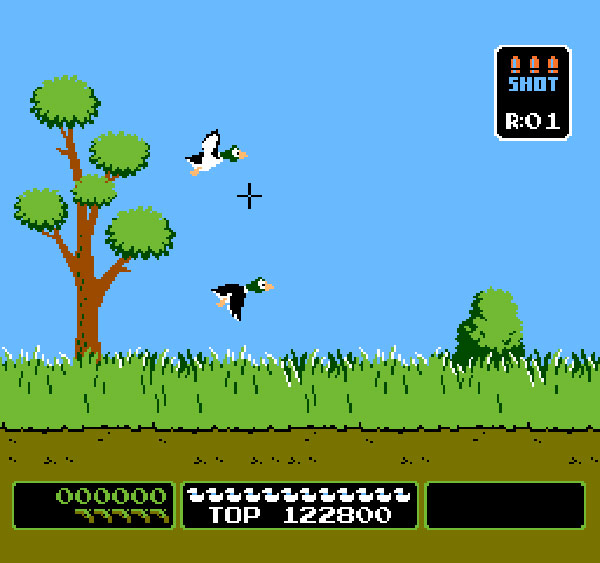 duck hunt